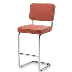 Bruut Ridge Rib barkruk koraal RVS